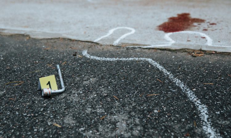 V okolici Metlike naj bi 38-letnik ubil žensko, sodil tudi sebi