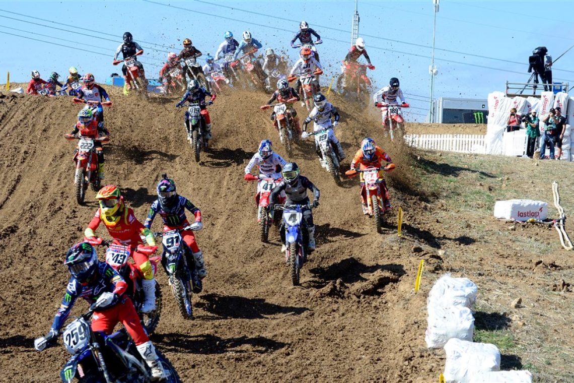 Pancar na Sardiniji enajsti