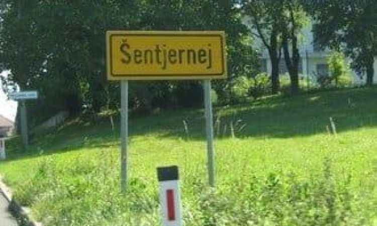 Na shodu v Šentjerneju zahteve po odstopu ravnatelja in resnem ukrepanju države glede romskih vprašanj 