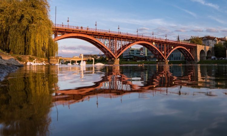 Maribor prejel naziv svetovnega mesta dreves