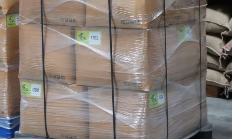 V Sežani zasegli skoraj tono konoplje