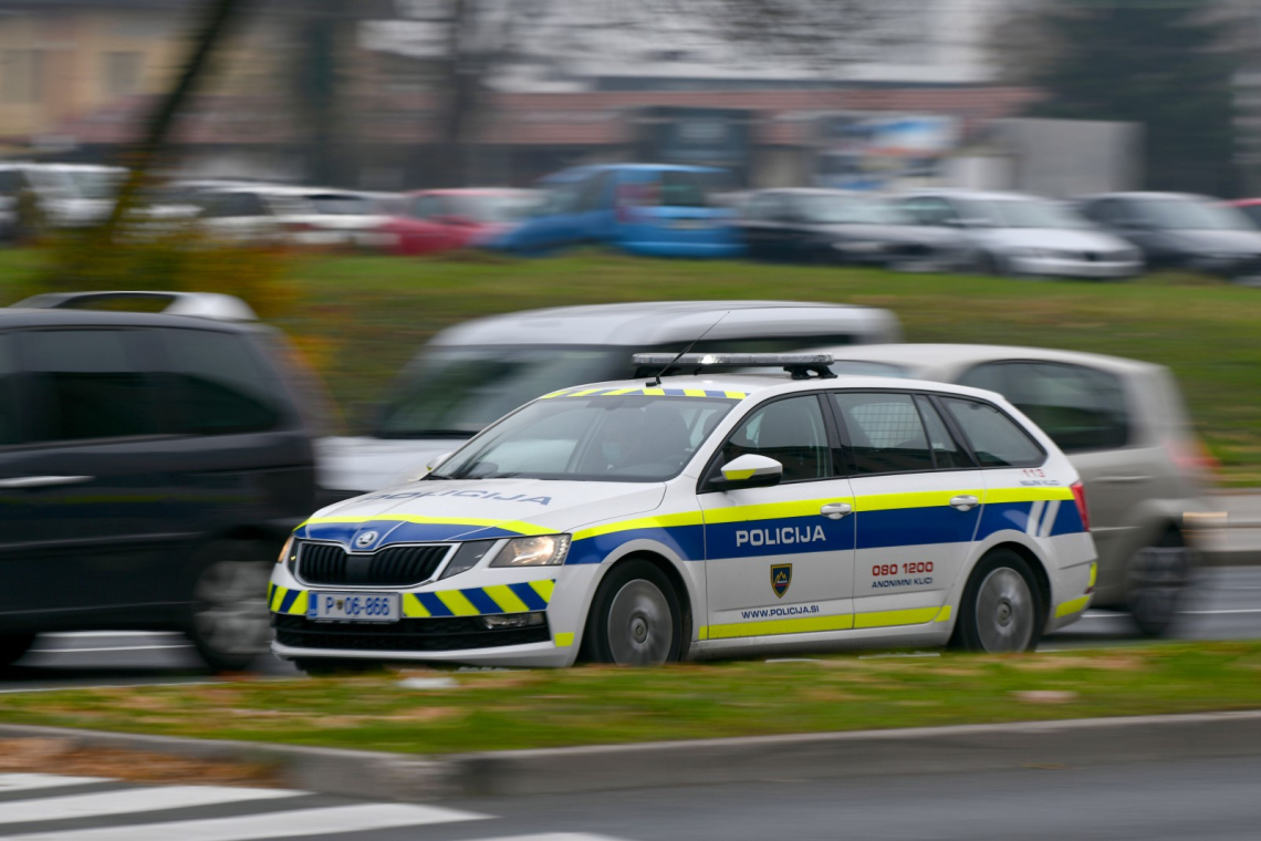 Več posredovanj policije v Posavju in Beli krajini