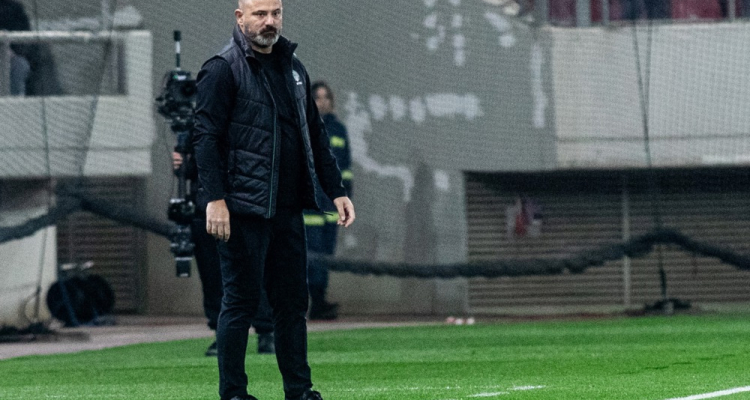 Stanković tudi uradno trener Crvene zvezde