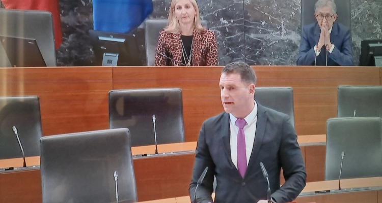 Stevanović novi predsednik DZ 