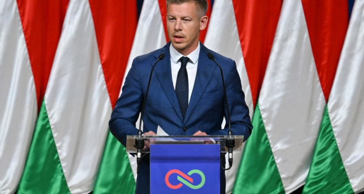 Slovenske stranke različno o izidu volitev na Madžarskem