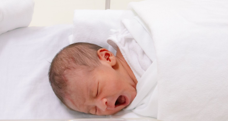 Manj otrok v vrtcih in osnovnih šolah več dijakov v srednjih šolah