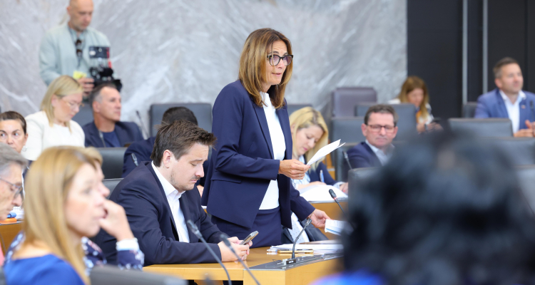 Poslanke Svobode napovedale tožbo proti Stevanoviću
